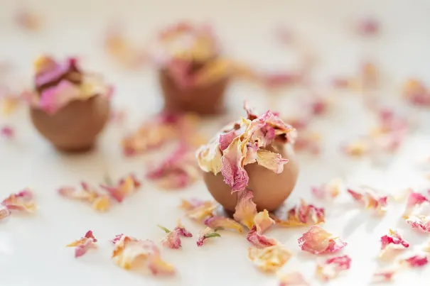 Casino Chilli Spins Android/iOS Forrit